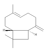 Caryofylleen