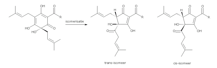 Isomerisatie