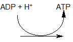 reversibel