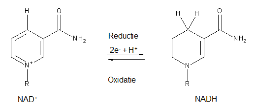 Redox reacties