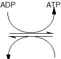 reversibel