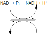 reversibel